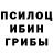 Галлюциногенные грибы Magic Shrooms tankthefrank100