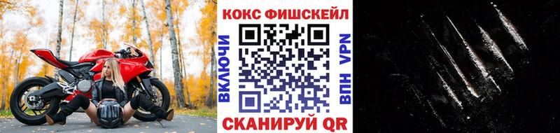 как найти Белово МЕГА ONION Cocaine Fish Scale