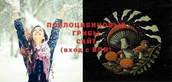 молекула духа Семилуки
