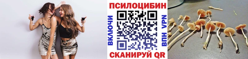 Псилоцибиновые грибы GOLDEN TEACHER  KRAKEN зеркало  Белово 
