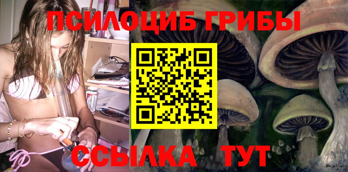 Галлюциногенные грибы мицелий Белово