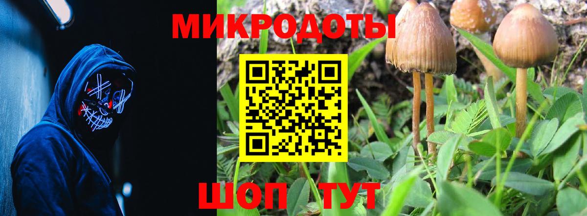 Галлюциногенные грибы мухоморы  Галлюциногенные грибы Cubensis  Вход с VPN  Белово 