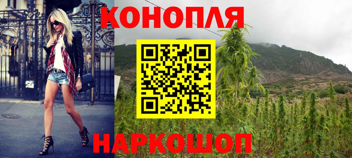 Бошки Шишки сатива  Марихуана семена  Белово  МАРИХУАНА Ganja 